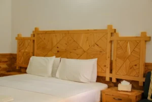 deluxe room green palace